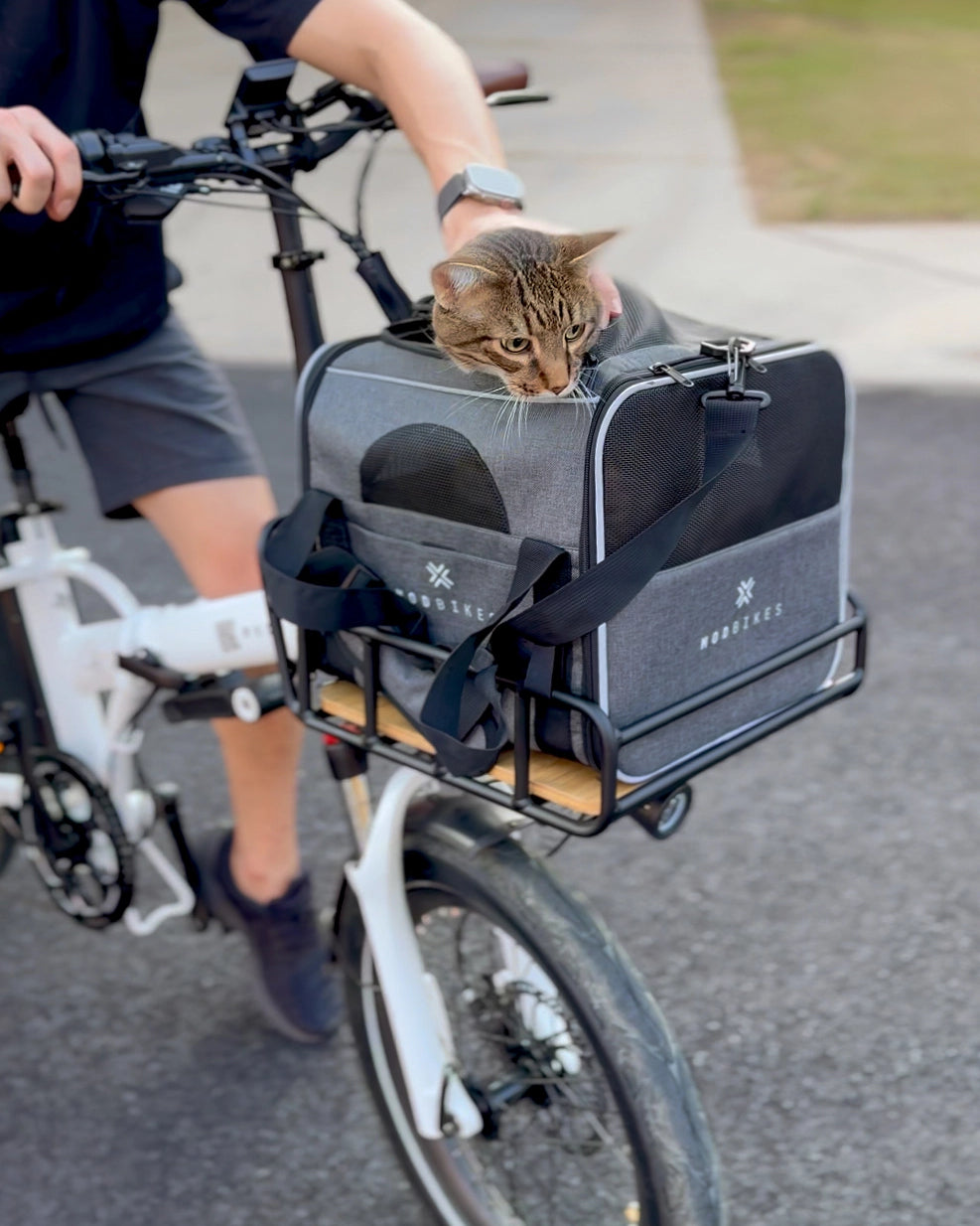 Person biking with a cat in a MOD Pawsenger pet carrier bag for ebikes on the front basket.
