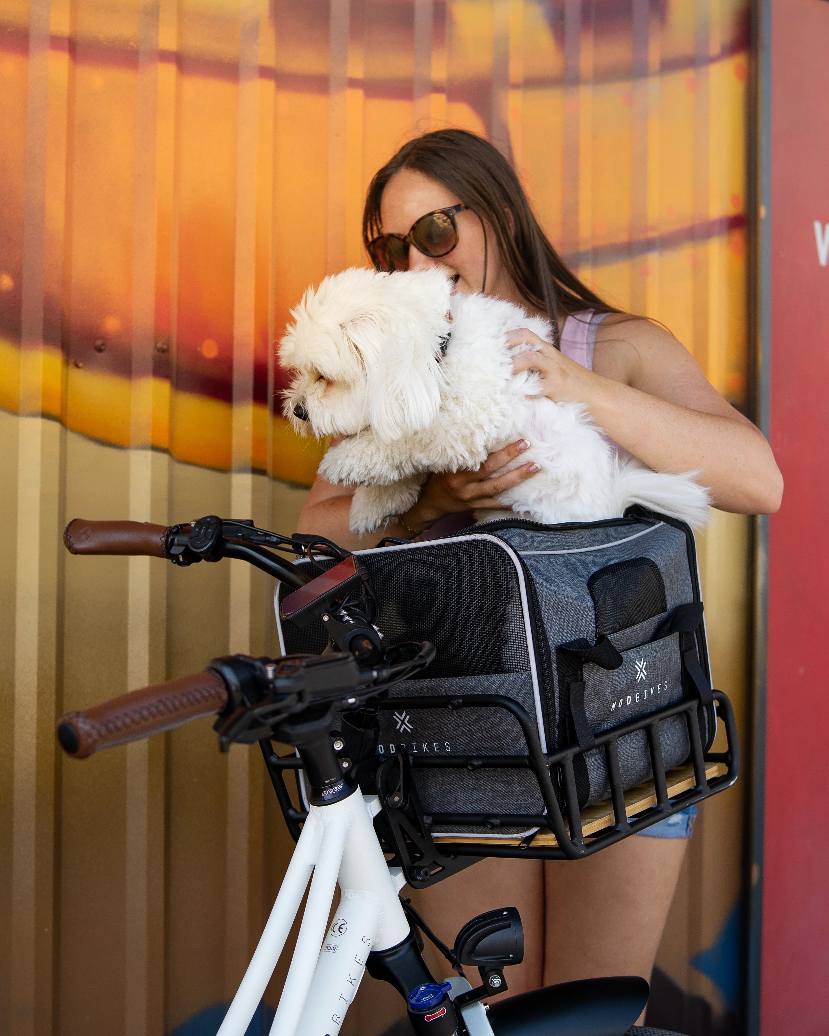 Woman placing dog into MOD Pawsenger pet carrier bag for ebikes on a bicycle.