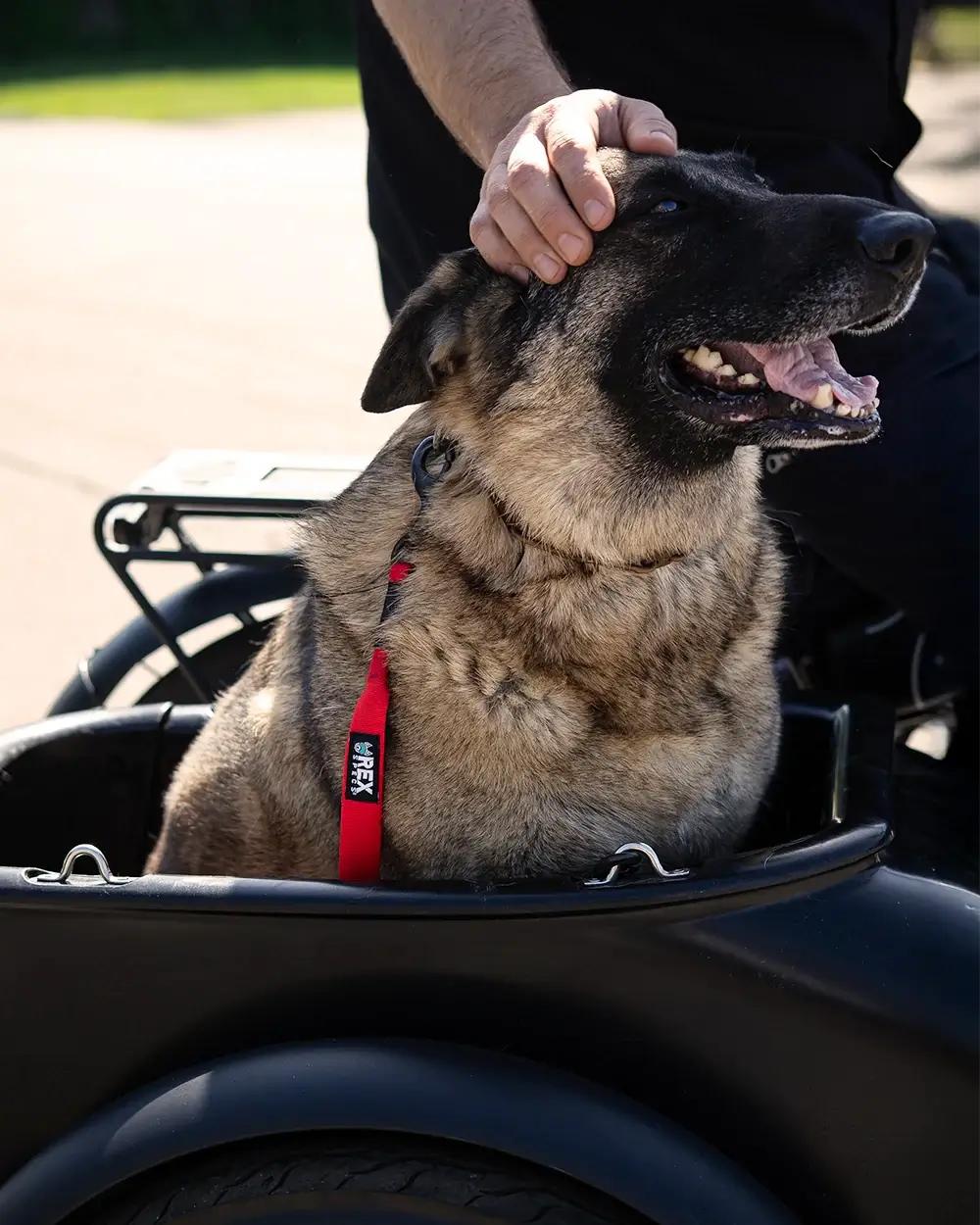 MOD Sidecar Dog Leash