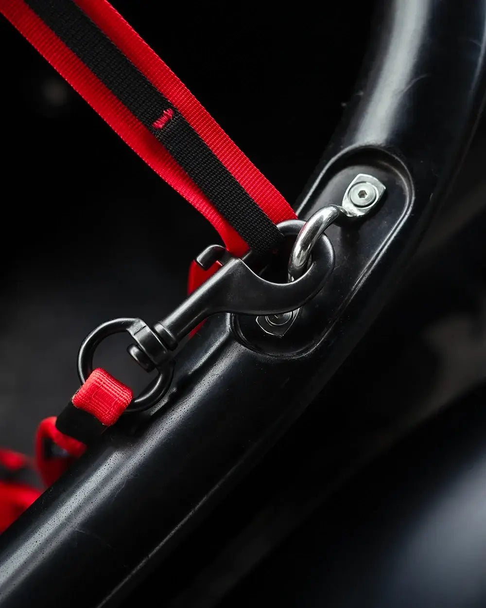 MOD Sidecar Dog Leash