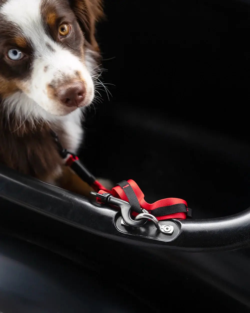 MOD Sidecar Dog Leash