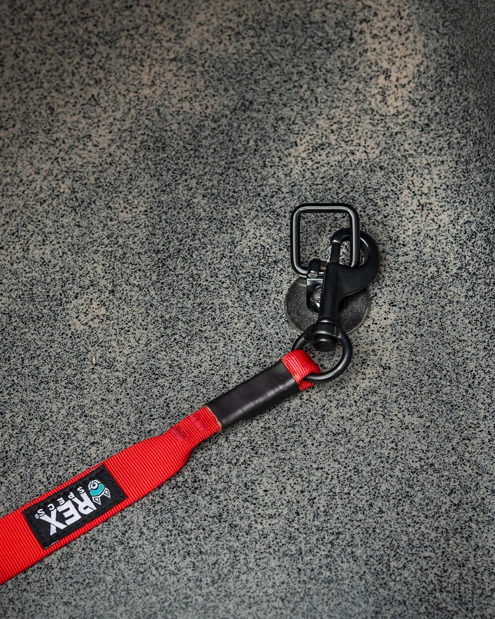 MOD Sidecar Dog Leash