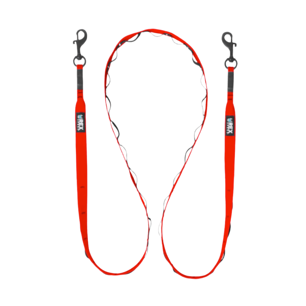 MOD Sidecar Dog Leash
