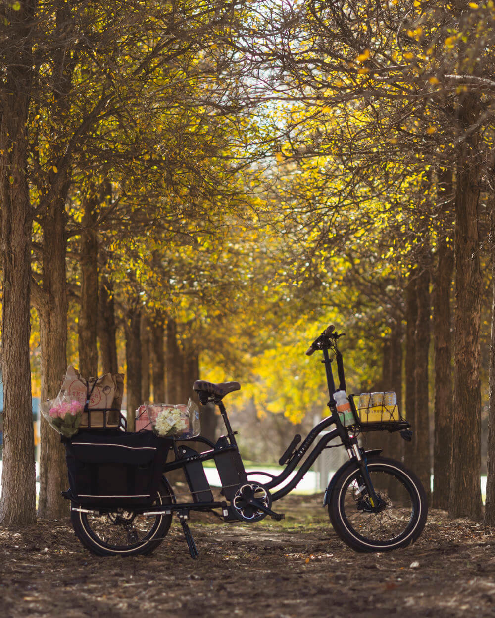 MOD CarGo 3 bike with Snap-On rack, parked in sunlit forest path, designed for carrying heavy loads, featuring dual battery option.