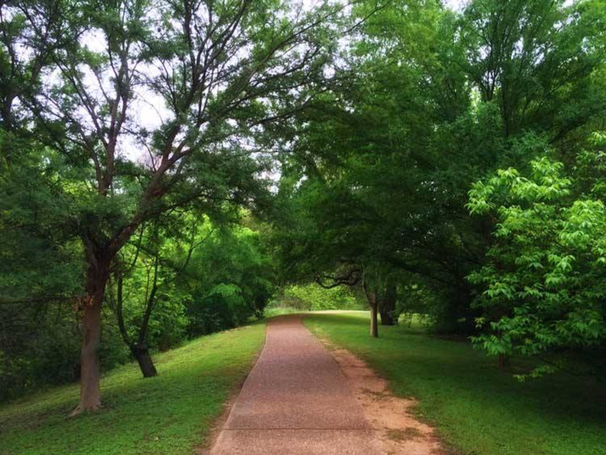 Austin’s oldest hike-and-bike trail charts new course from downtown to the Domain