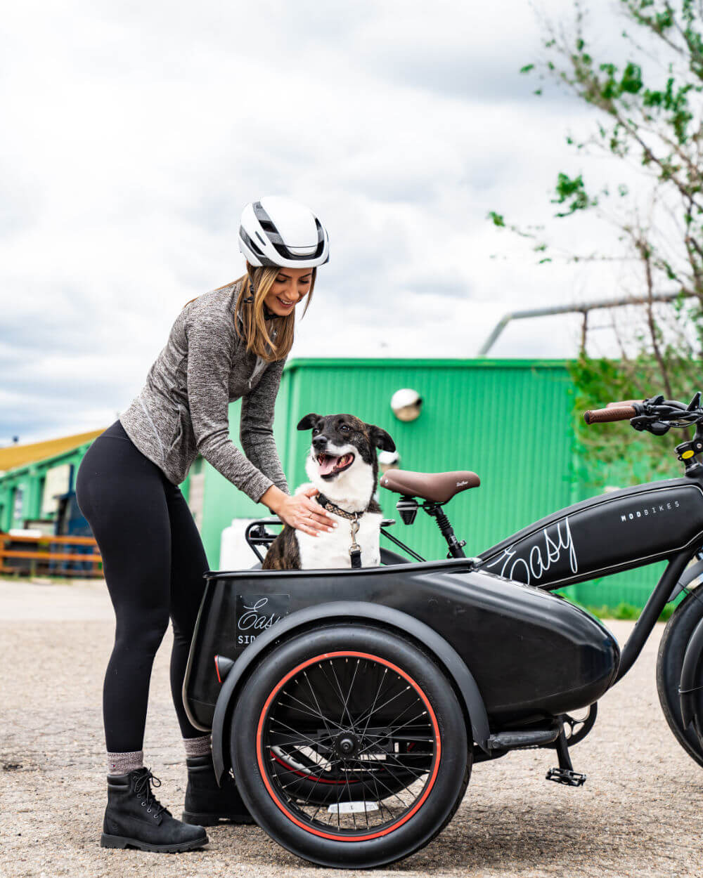 Sidecar Dog Cart For Motorcycle Motorcycle Sidecar With Dog Dog In