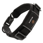 MOD Dog Collar featuring a lightweight and durable design for daily walks and adventures.