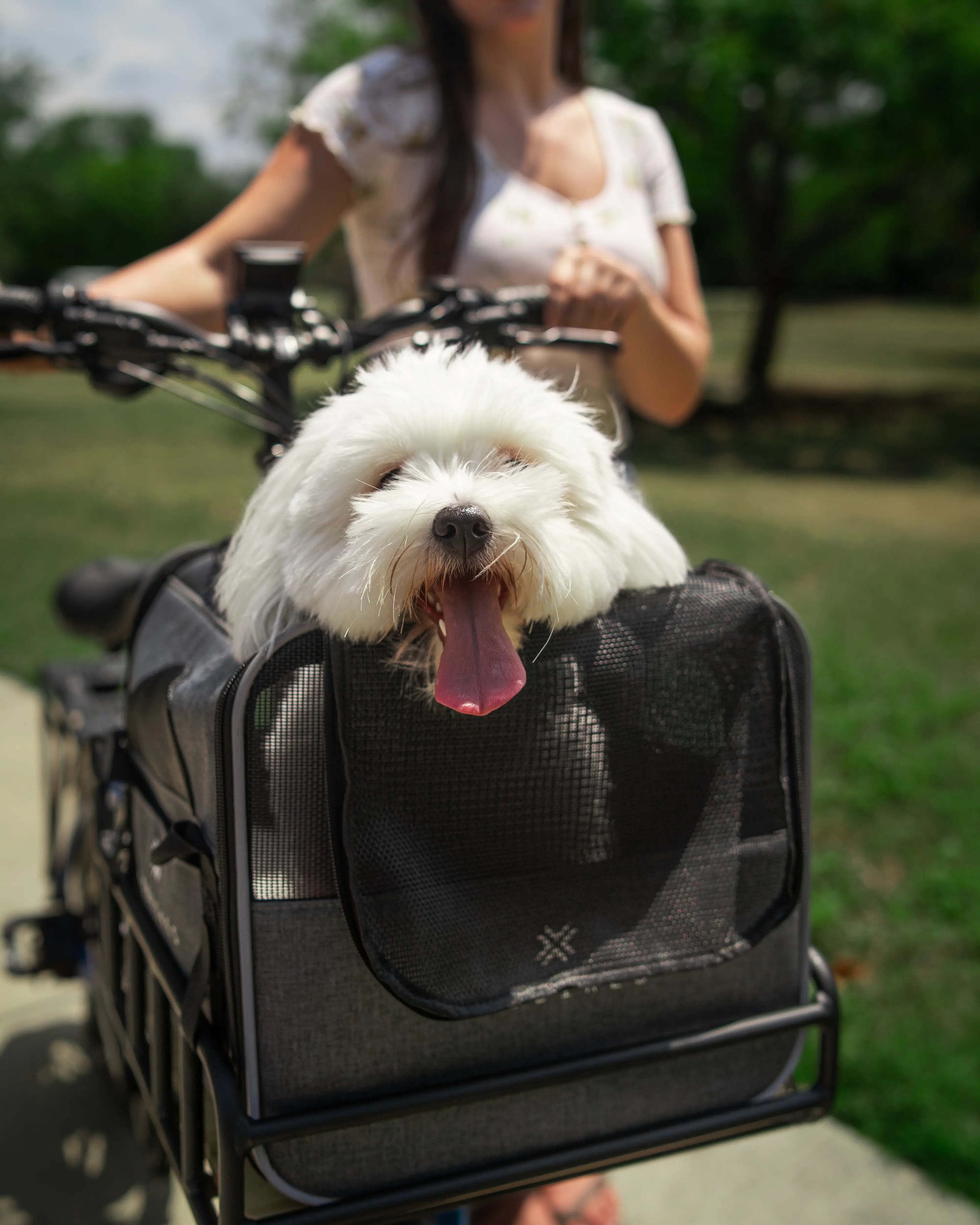 hundeanhänger für elektrofahrrad MOD Pawsenger Pet Carrier Bag for eBikes | MOD BIKE