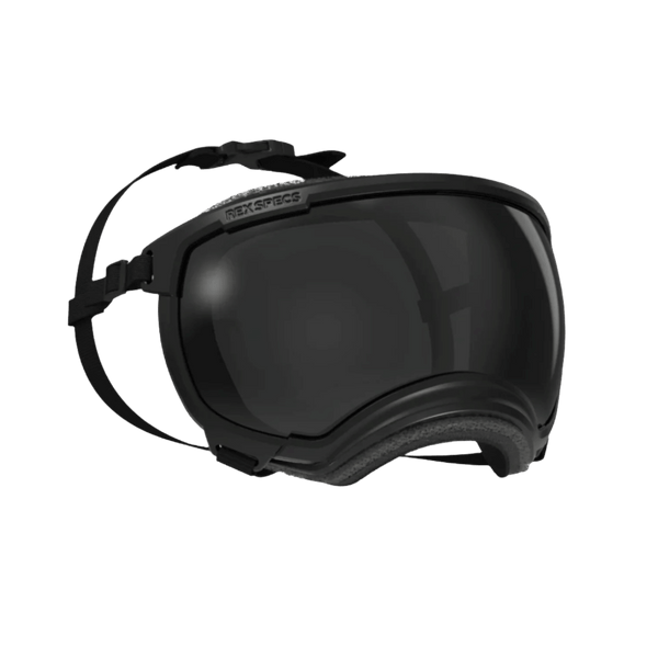 dog bike goggles MOD Sidecar Doggles
