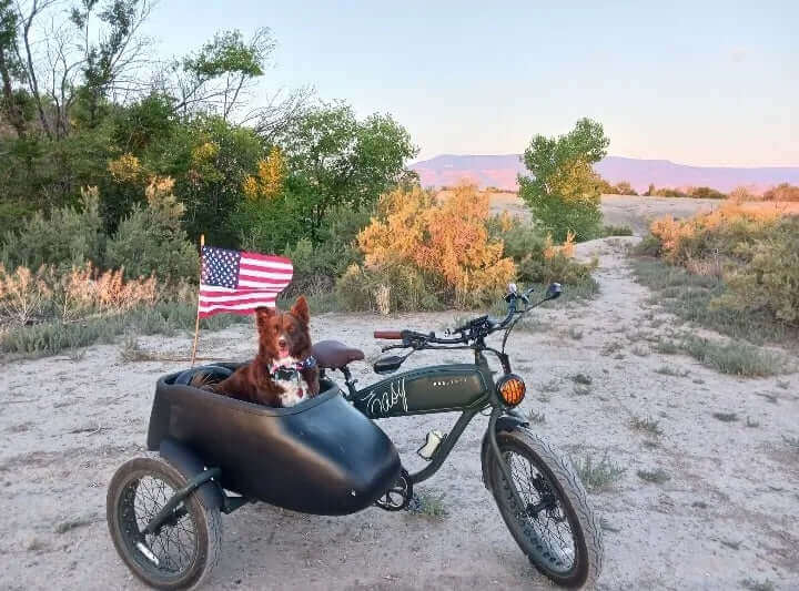 MOD Easy - Electric Bike with Sidecar | MOD BIKES