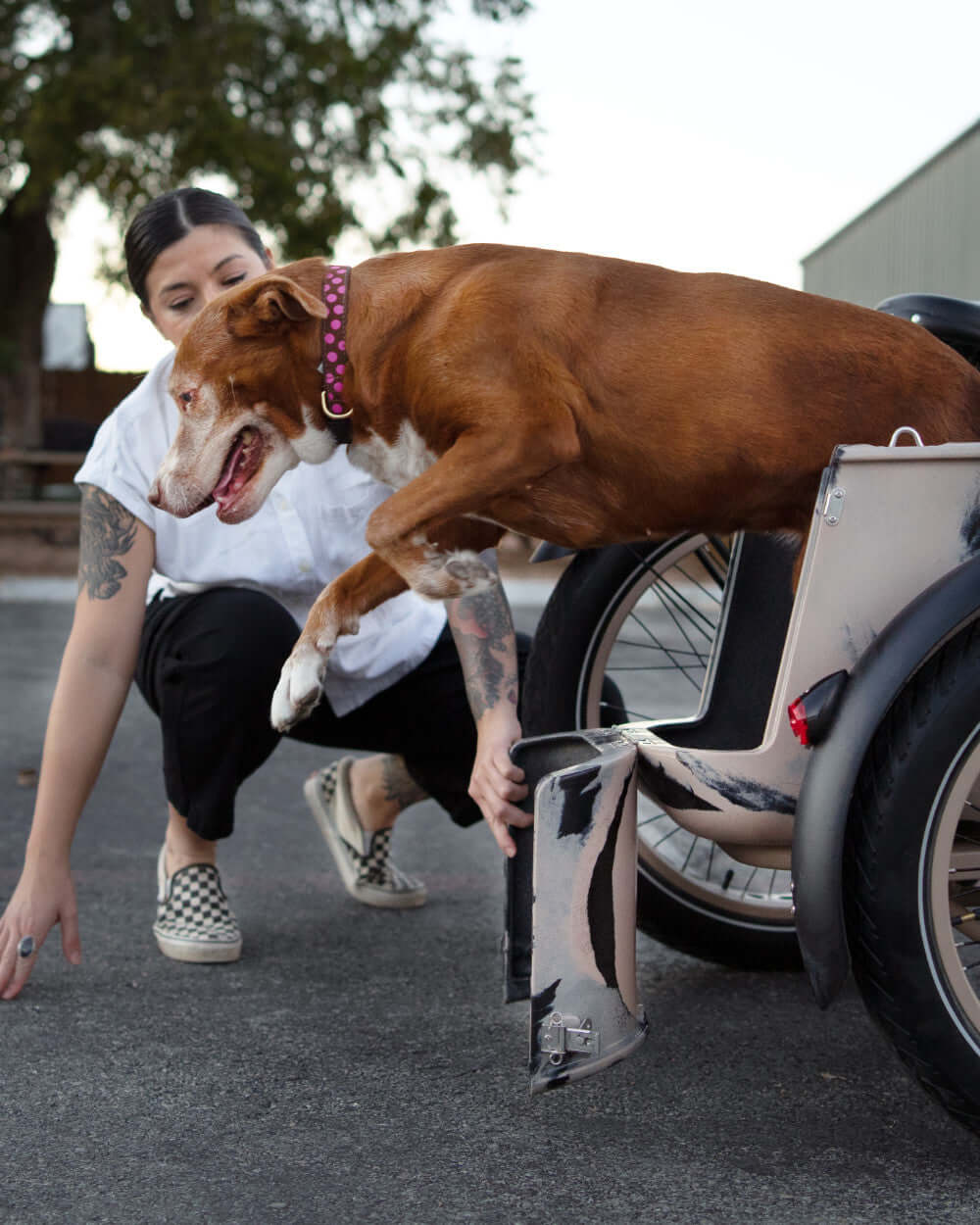 A dog joyfully jumping into a retro sidecar while a smiling person encourages it.
