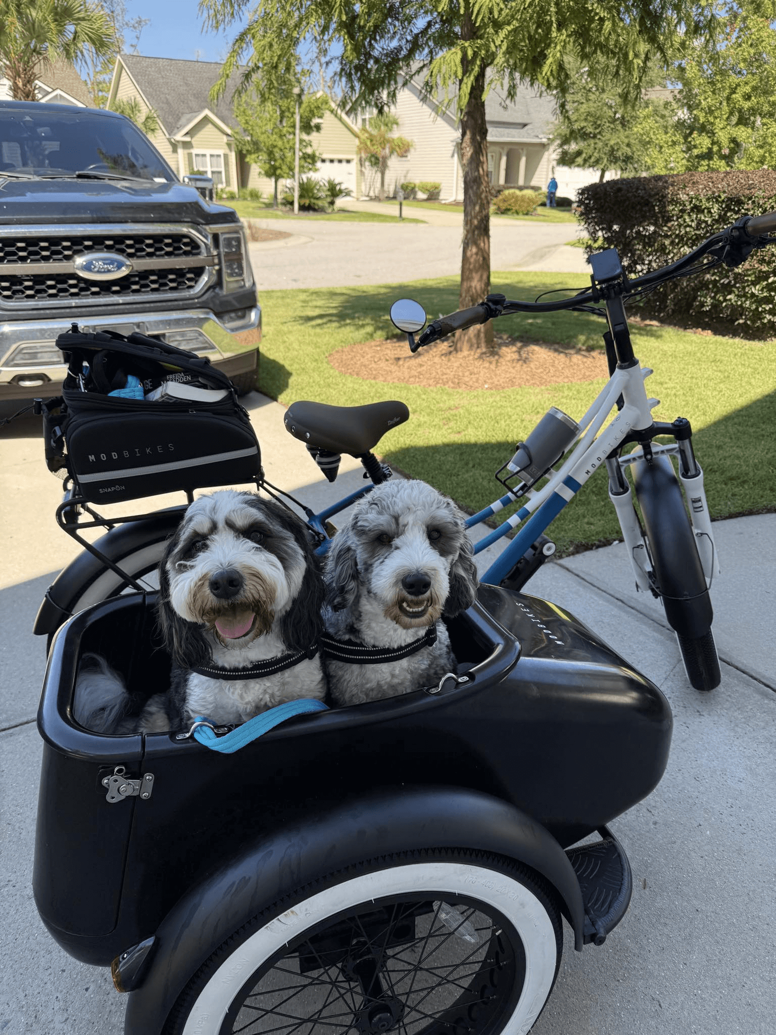MOD Groove SideCar E-Bike - Ultimate Beach Cruiser | MOD BIKES
