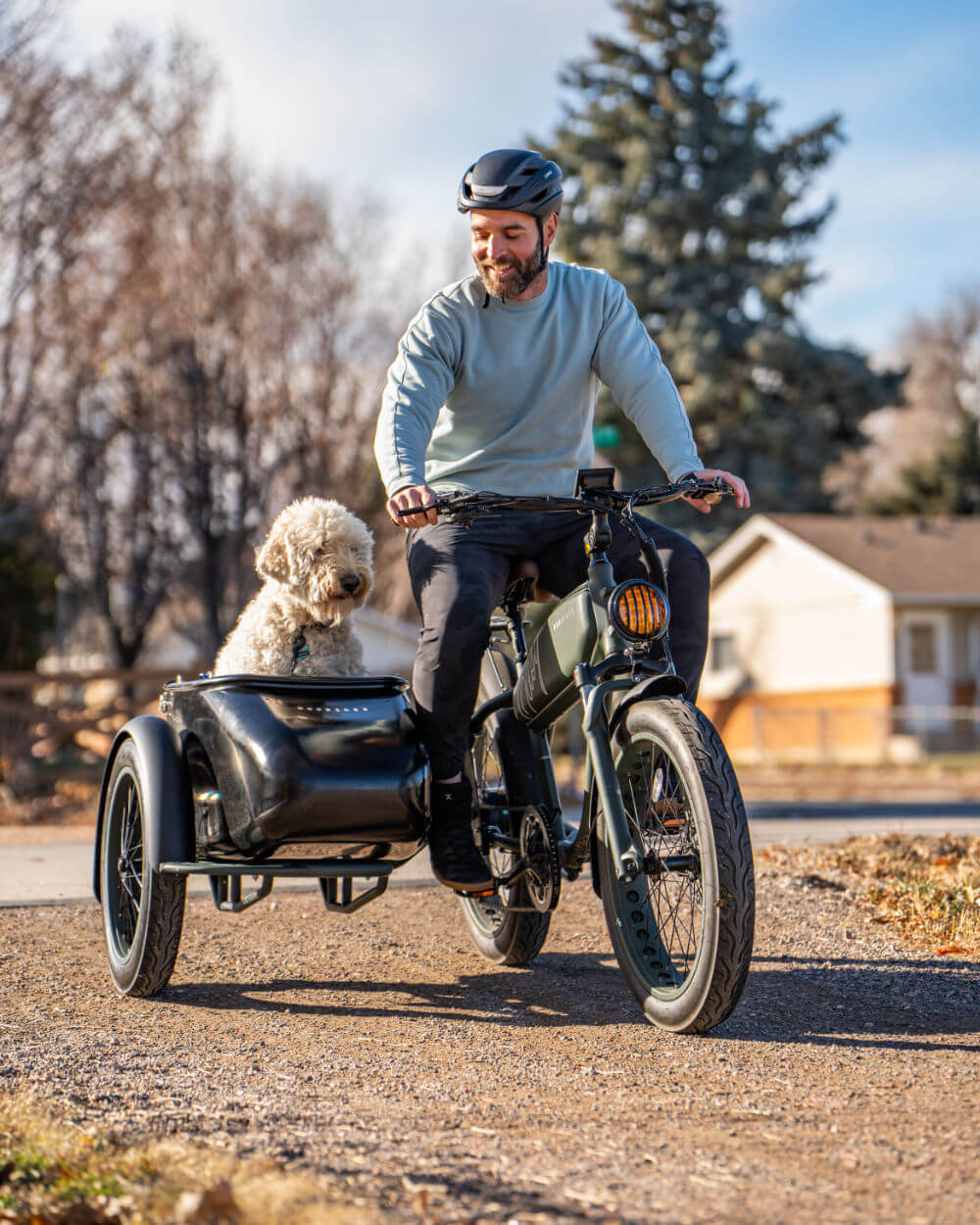 Electric Bike EBike for Commuting with Sidecar, Retro Design and Powerful Torque, 28MPH, 45 Miles Range, 750W motor - HSA/FSA Eligible - City EBike Electric Bike EBike for Commuting with Sidecar, Retro Design and Powerful Torque, 28MPH, 45 Miles Range, 750W motor - HSA/FSA Eligible - City EBike