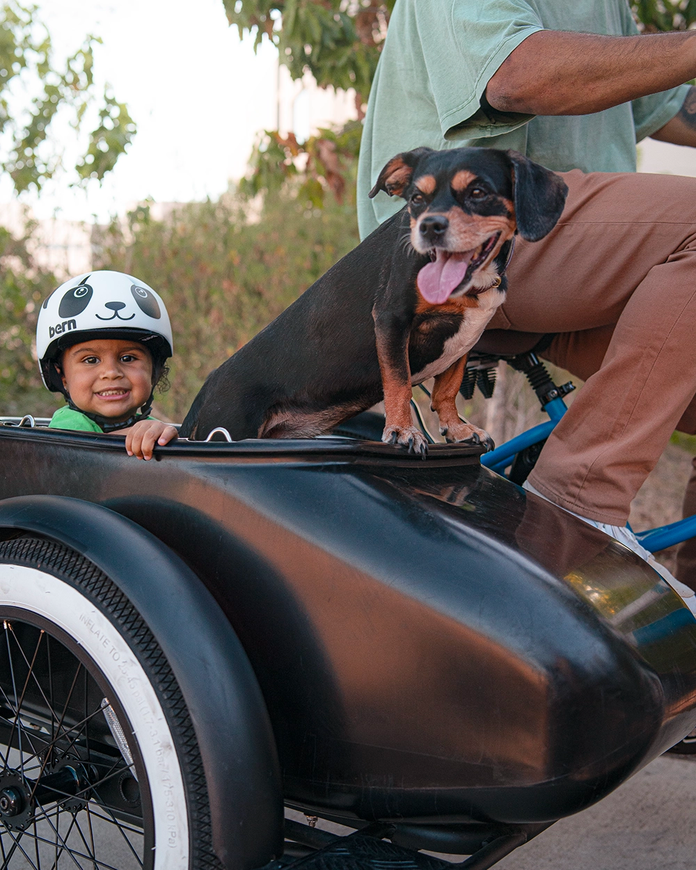 MOD Groove SideCar 3